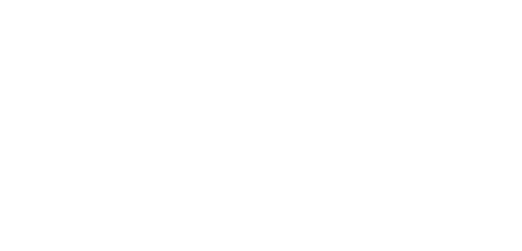 LightM Group Logo